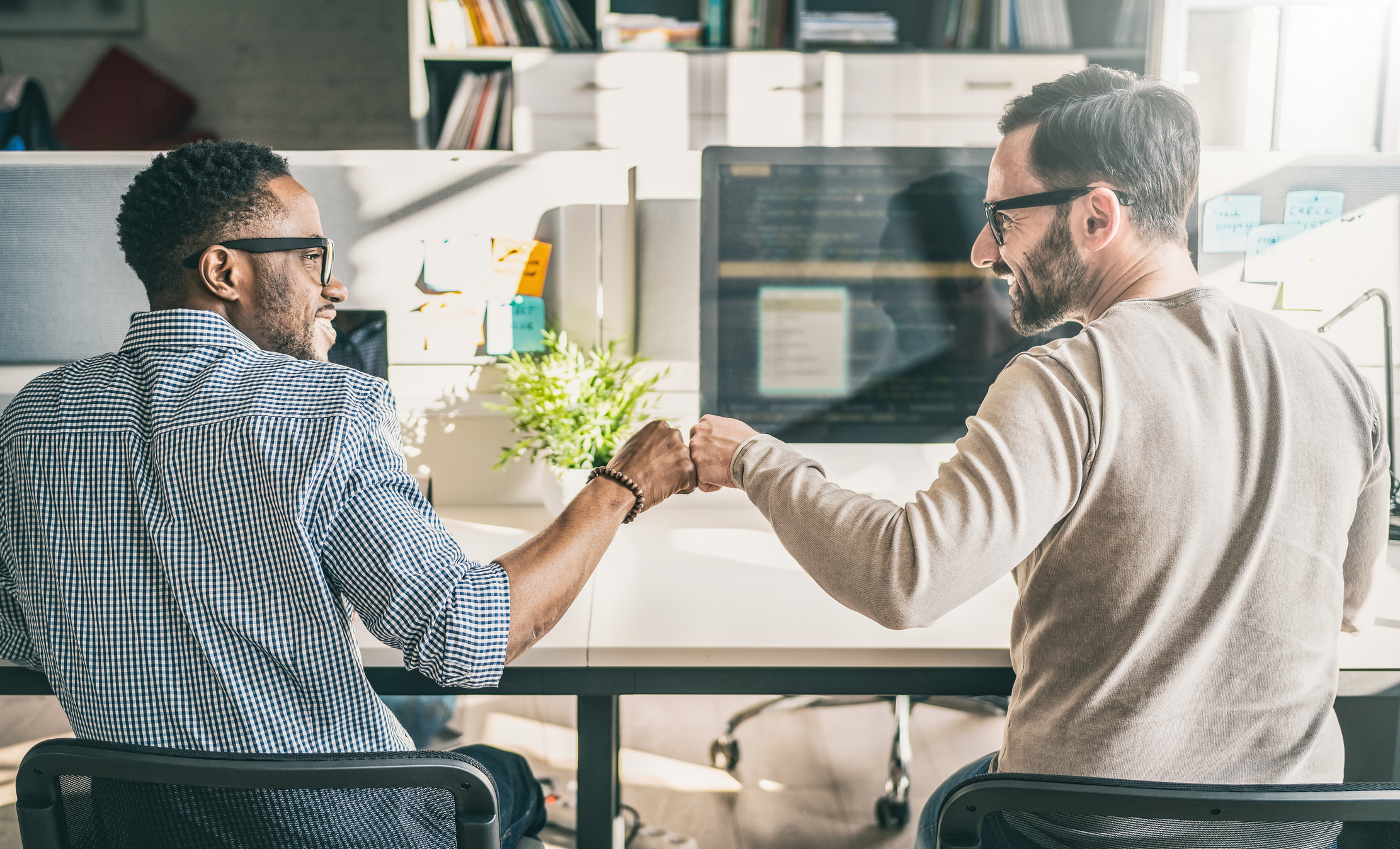 operating agreement basics